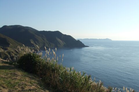龍飛崎 展望台付近からの眺望