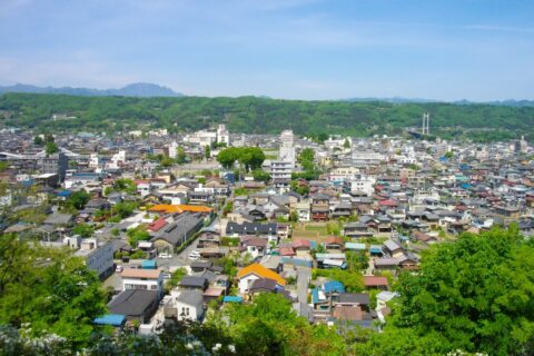 羊山公園から見る秩父市中心部