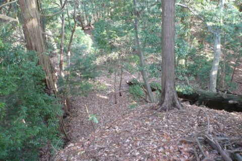 櫓台からの眺望