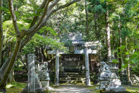 竹林寺（五台山）——照片 3