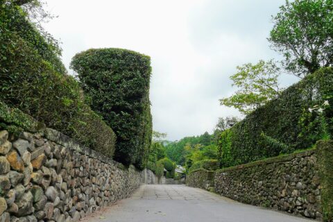 ​鹿児島県南九州市知覧町郡にある南九州市知覧伝統的建造物群保存地区内のかつての面影を残す通り
