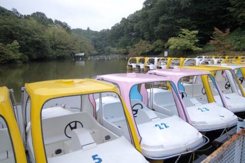 こどもの国 白鳥湖 (神奈川県横浜市青葉区)