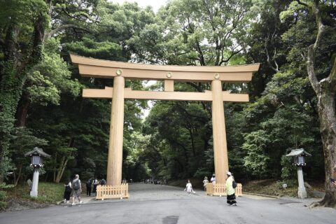 新たに建てられた 明治神宮 南参道第一鳥居