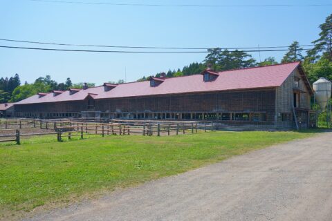 小岩井農場上丸地区、三号牛舎