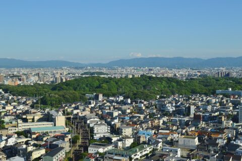 大仙陵古墳 全景