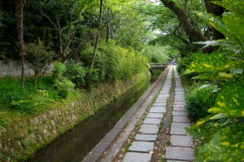 新型コロナウイルスによる外出自粛要請で誰もいない状態の哲学の道。余程の悪天候でもないかぎり、深夜でも誰かしら歩いているので、京都に生まれ育ちこうした状況を見たのは初めて。