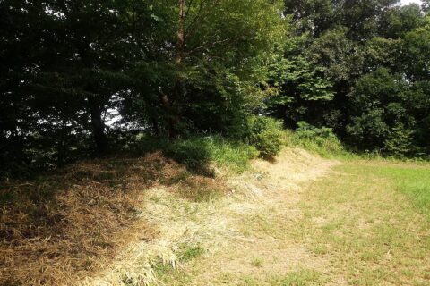 Earthen wall of Shiroyama base(Compound)