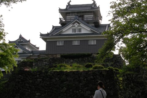 Echizen Ono Castle