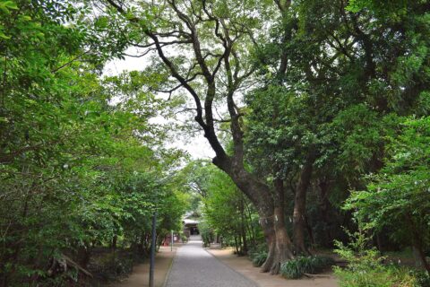 江田神社 (宮崎市) 参道