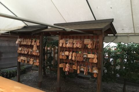 Ema's of Toyokuni shrine, Nagoya