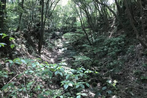 岩国城の空堀
