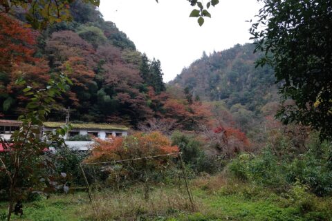 ​深耶馬渓の風景