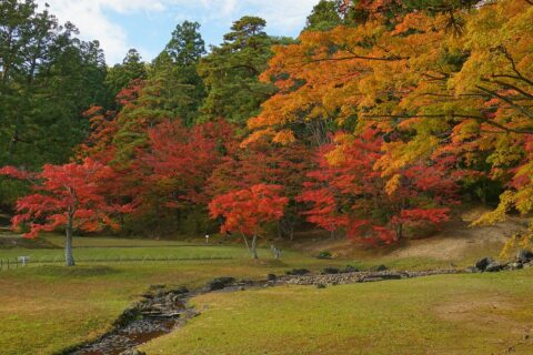 毛越寺浄土式庭園（岩手県平泉町）