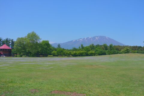 小岩井農場の芝生エリアから、岩手山を望む。
