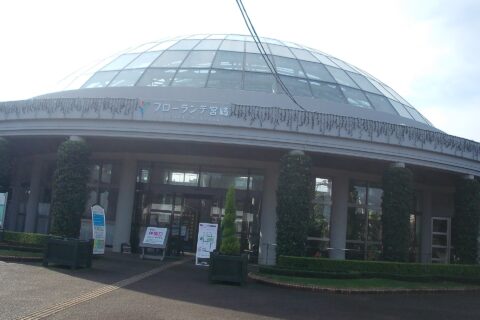 フローランテ宮崎は宮崎県宮崎市のシーガイアにある都市公園。園内に植物園がある。
