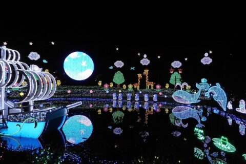 栃木県足利市迫間町にある、あしかがフラワーパークの光の花の庭（イルミネーションイベント）。みんなの地球。
