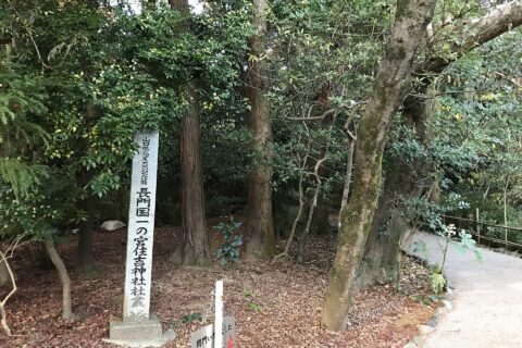 Sumiyoshi Shrine (Shimonoseki) — photo 6