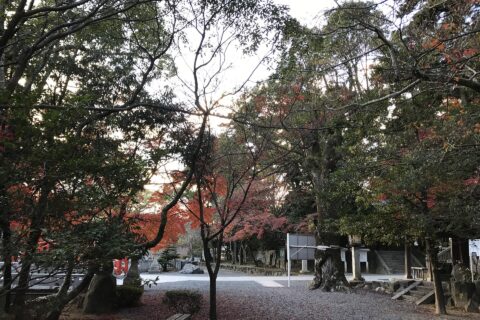 Sumiyoshi Shrine (Shimonoseki) — photo 7