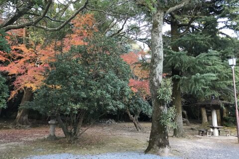 Sumiyoshi Shrine (Shimonoseki) — photo 8