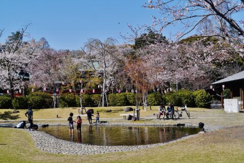 a Park in Fujinomiya, Prefecture of Shizuoka, Region of Chubu, Japan