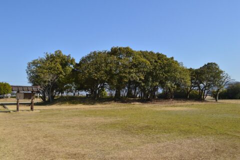 藤原宮跡 大極殿