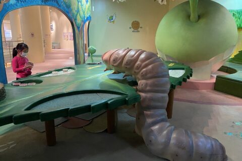 Garden of Wonder: Playing with Pears in Tottori Nijisseiki Pear Museum