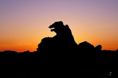 男鹿半島のゴジラ岩