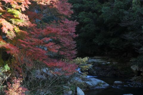秋の豪渓