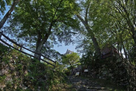 Gujo hachiman castle , 郡上八幡城