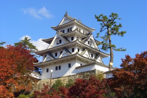 秋の紅葉と郡上八幡城