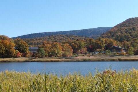 秋田県鹿角市・大沼