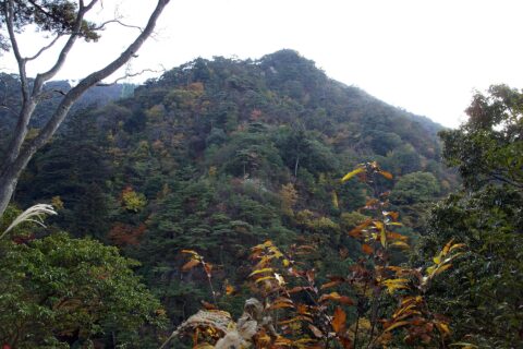 Mt.Haigata (619m) in Kobe, Hyogo prefecture, Japan