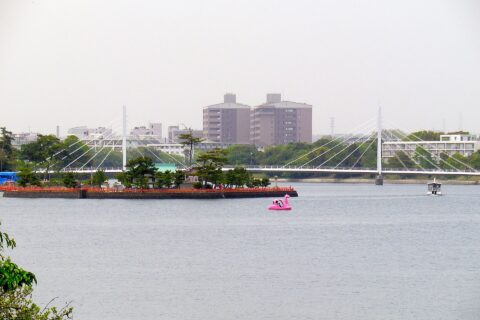 山口県宇部市。常盤公園内、常盤神社と白鳥大橋。奥の建物は山口大学工学部。2011年5月4日撮影。