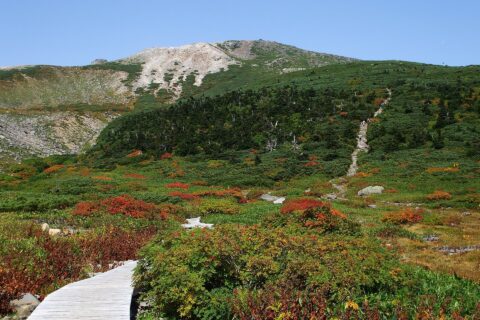 白山の弥陀ヶ原から室堂平方向を望む
