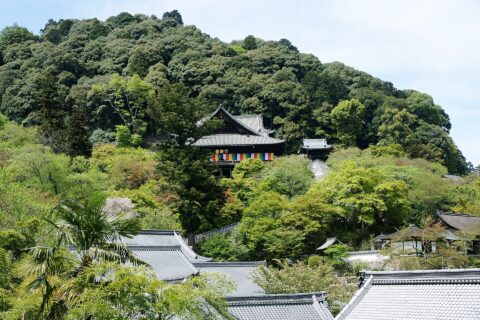 長谷寺本堂 （国宝）。 所在地は奈良県桜井市