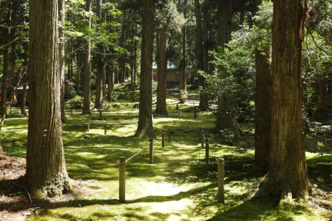 Heisenji Hakusan Shrine in Fukui