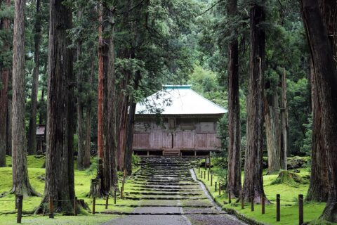 平泉寺白山神社 拝殿。雨上がりの朝