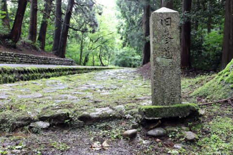 平泉寺白山神社 旧参道