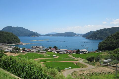 ​日引の棚田と内浦湾