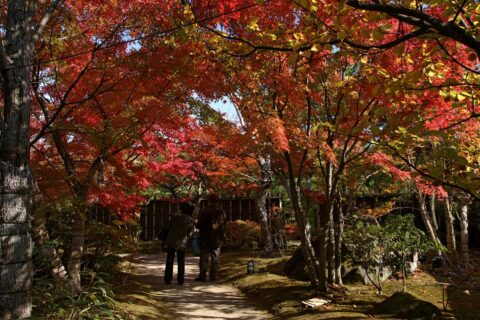 好古園（姫路城西御屋敷跡庭園）, 兵庫県姫路市