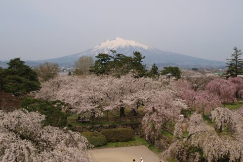 弘前城より望む岩木山
