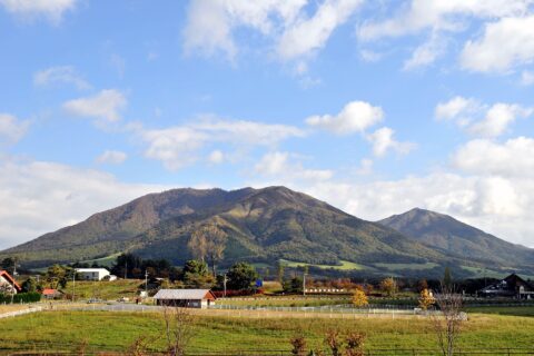 上蒜山(左)と中蒜山(右)を南西から望む。蒜山高原より撮影。