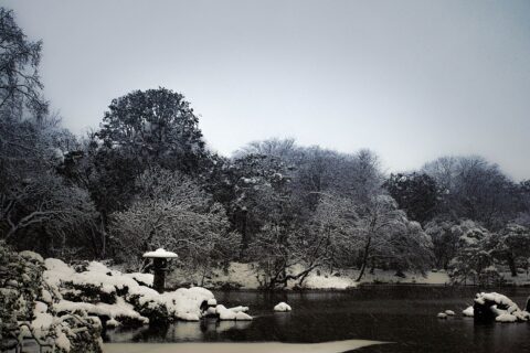 Horaijima at Rikugien garden