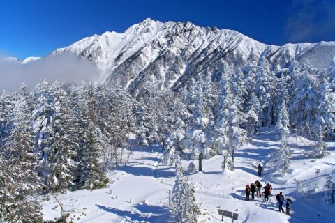新穂高ロープウェイの西穂高口駅 (2156m) から望む西穂高岳 (2909m)。所在地は岐阜県高山市。