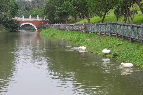 ​Houshan Lake 後山埤
