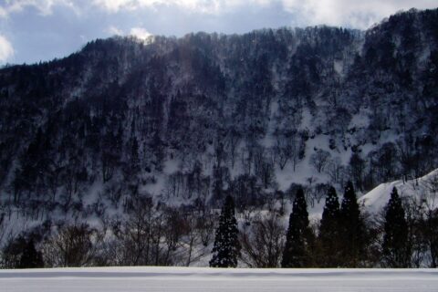 氷ノ山。 兵庫県養父市の氷ノ山国際スキー場にて。
