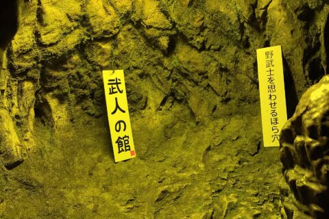 ikura_20210227113451