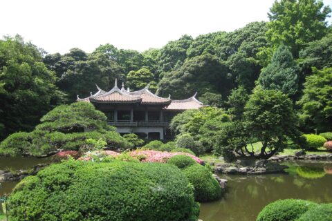 Impression of Shinjuku Gyoen, Tokyo