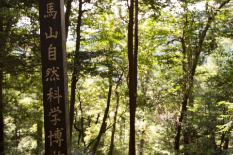 Mount Kurama Kyoto