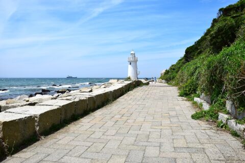 伊良湖岬自然散策路